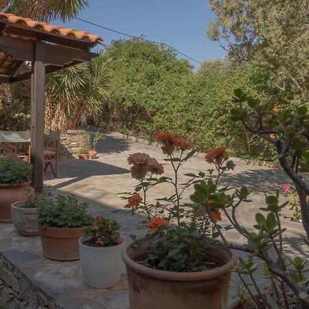 Private Pet Friendly Villa Ágios Nikólaos 외부 사진